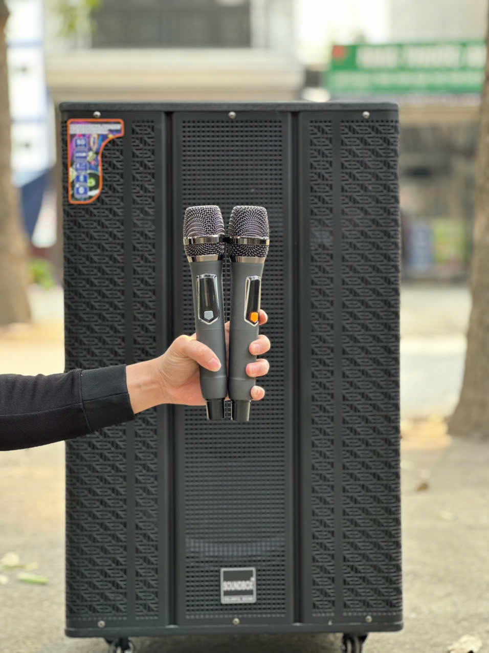 LOA DI ĐỘNG SB 8666 ( BASS 50 )