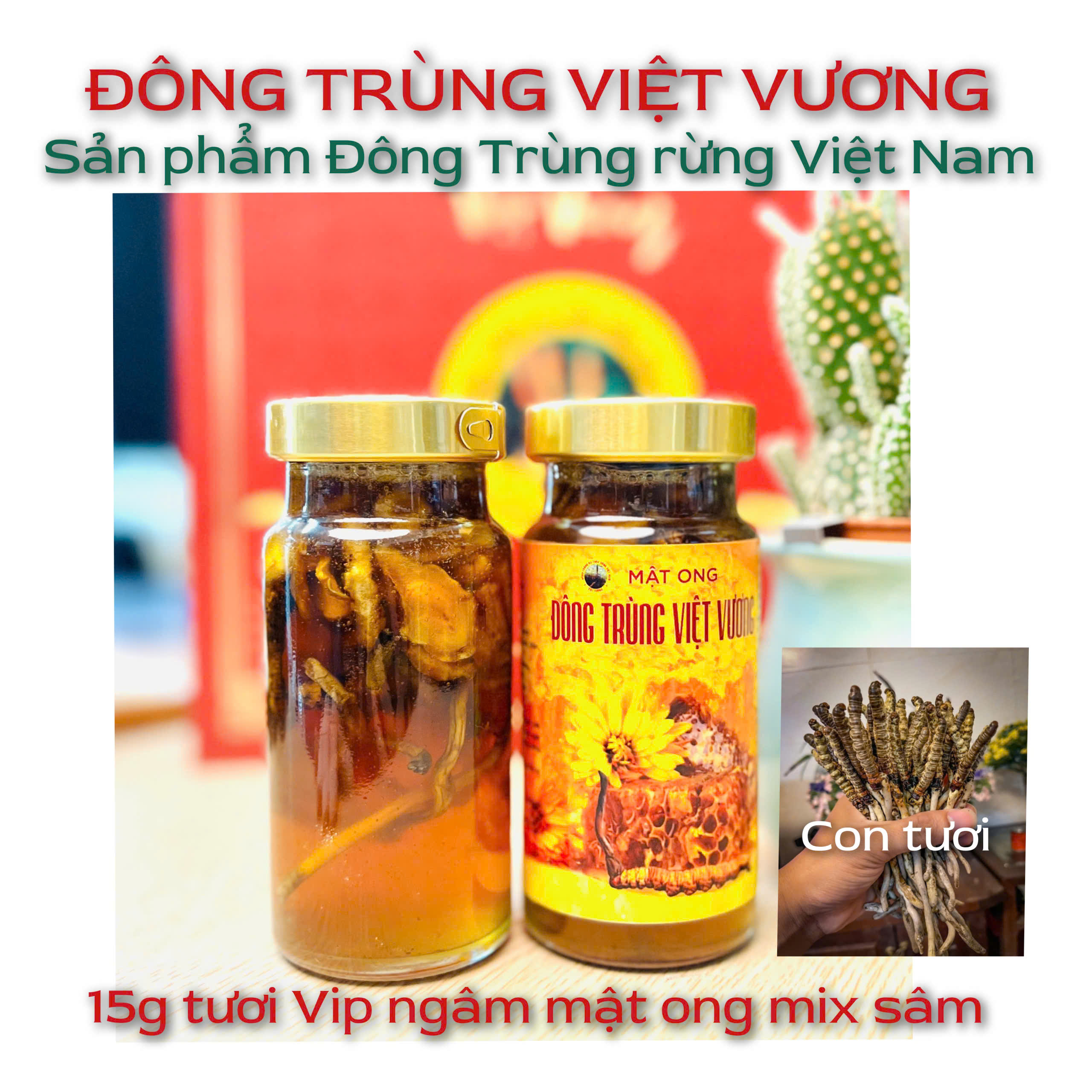 Hũ Mật Ong Ngâm Đông Trùng Hạ Thảo Rừng ( 150ml mật ong   + 15g đt gãy tươi )
