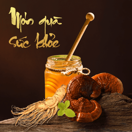 Đông trùng hạ thảo rừng