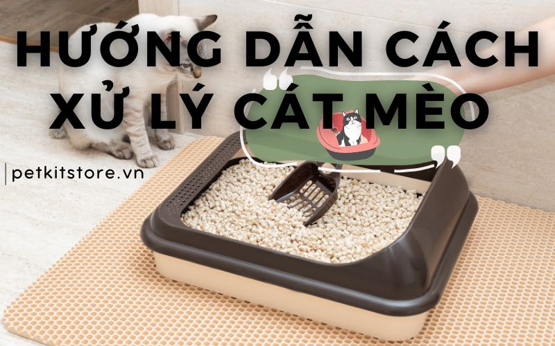 Hướng dẫn cách xử lý cát mèo chi tiết từ A đến Z