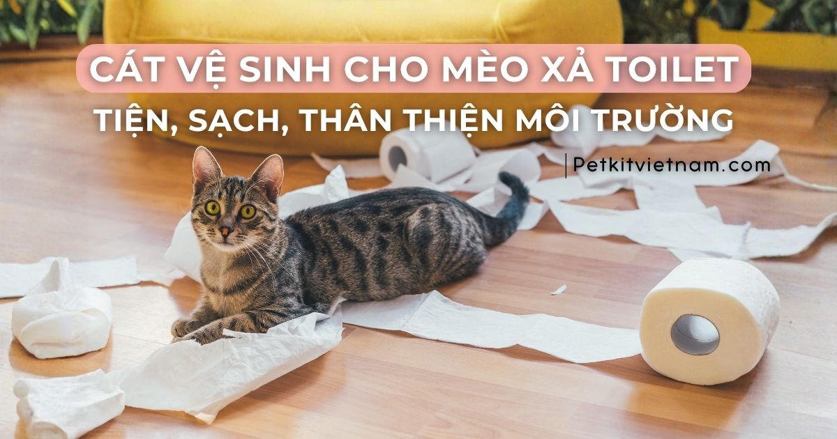 Cát vệ sinh hữu cơ cho mèo xả toilet được – Tiện lợi và an toàn