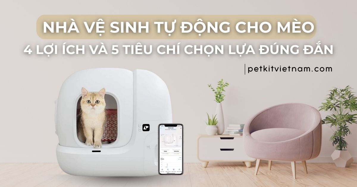 Có nên mua nhà vệ sinh tự động cho mèo? 4 lợi ích và 5 tiêu chí chọn lựa đúng đắn