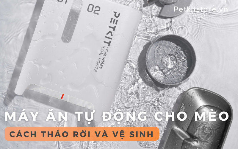 HƯỚNG DẪN BẠN CÁCH VỆ SINH MÁY ĂN TỰ ĐỘNG CHO MÈO PETKIT YUMSHARE GEMINI