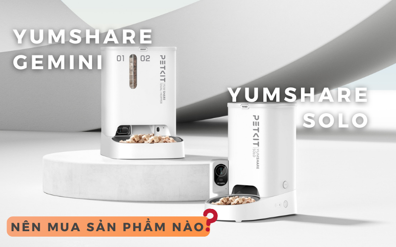 Máy ăn có camera PETKIT YUMSHARE SOLO VÀ PETKIT YUMSHARE GEMINI, nên mua loại nào?