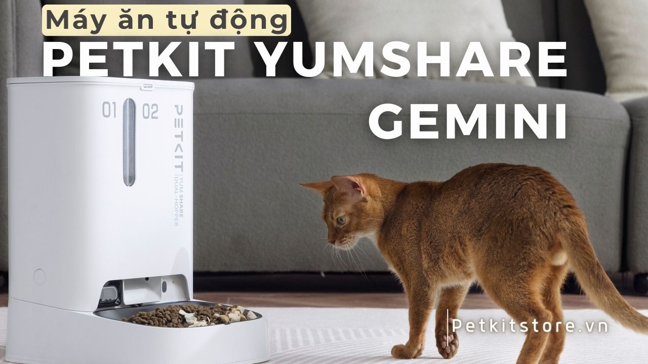 PETKIT YUMSHARE GEMINI Máy cho mèo ăn tự động tiện lợi