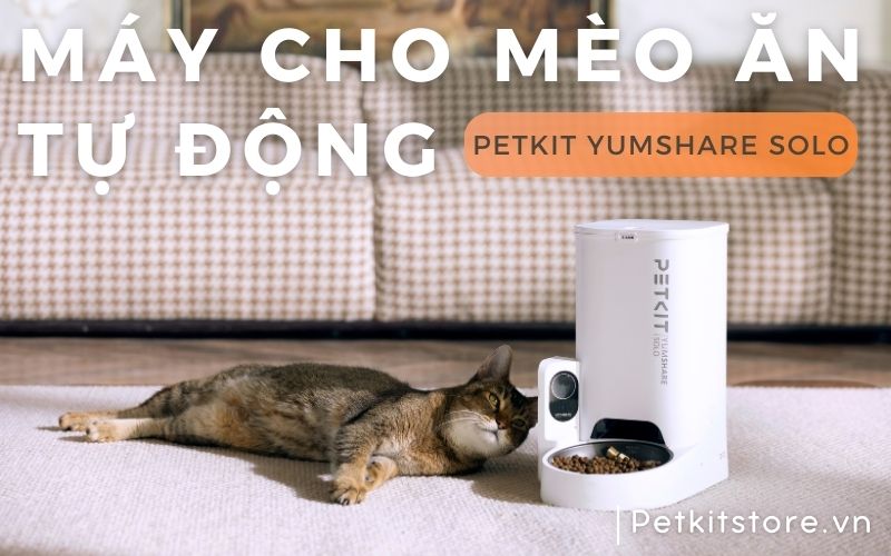 PETKIT YUMSHARE SOLO Máy cho mèo ăn tự động thông minh
