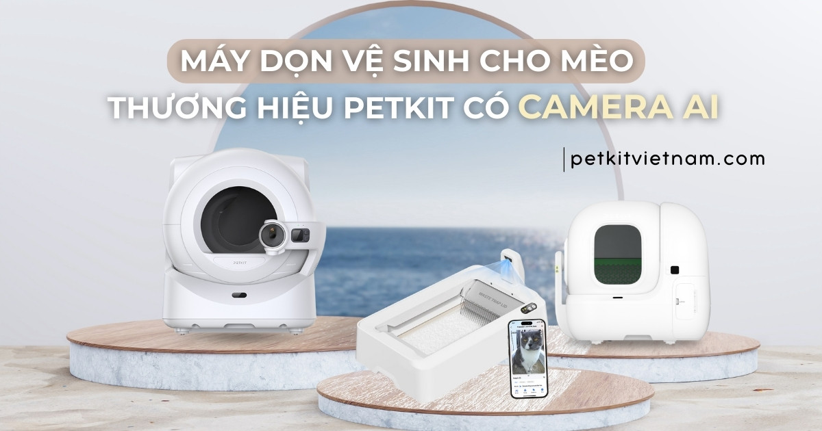 Khám phá 3 Mẫu Máy Dọn Vệ Sinh Cho Mèo Có Camera Của Thương Hiệu PETKIT