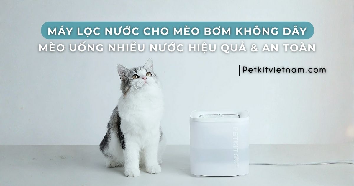 Máy lọc nước cho mèo bơm không dây: cho mèo uống nhiều nước hiệu quả & an toàn điện