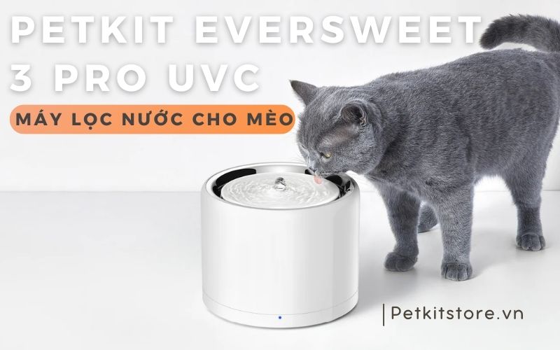 PETKIT EVERSWEET 7 UVC MÁY LỌC NƯỚC CHO MÈO BÍ QUYẾT CHO MÈO UỐNG NƯỚC ĐẦY ĐỦ