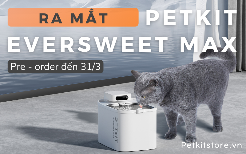 Máy lọc nước PETKIT EVERSWEET MAX ra mắt, tích hợp công nghệ mới chưa từng có