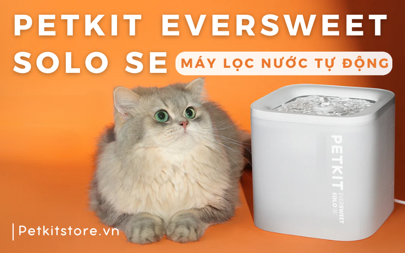 MÁY LỌC NƯỚC TỰ ĐỘNG PETKIT SOLO SE - GIẢI PHÁP CHO MÈO UỐNG ÍT NƯỚC