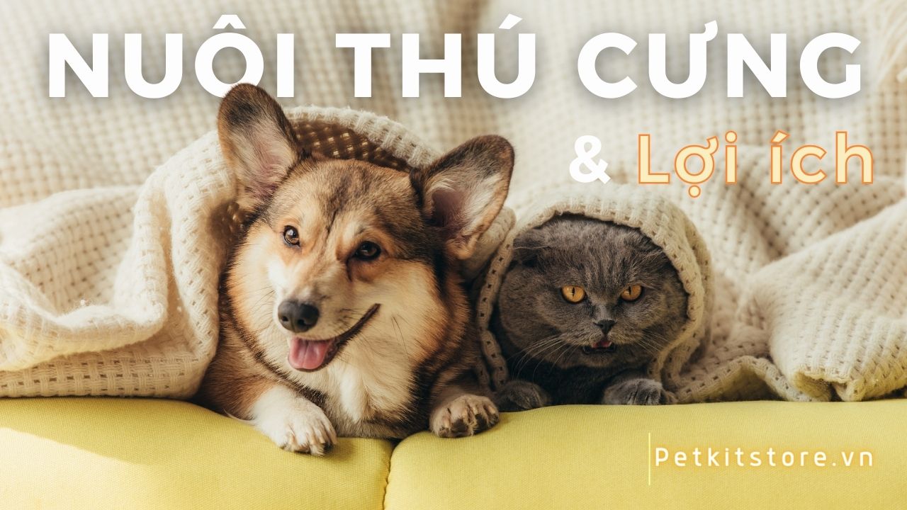 Lợi ích của việc nuôi thú cưng như thế nào?