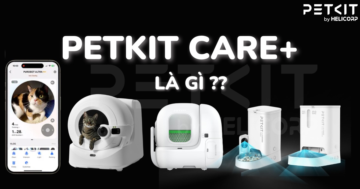 PETKIT CARE+ là gì? Cách đăng ký như thế nào?