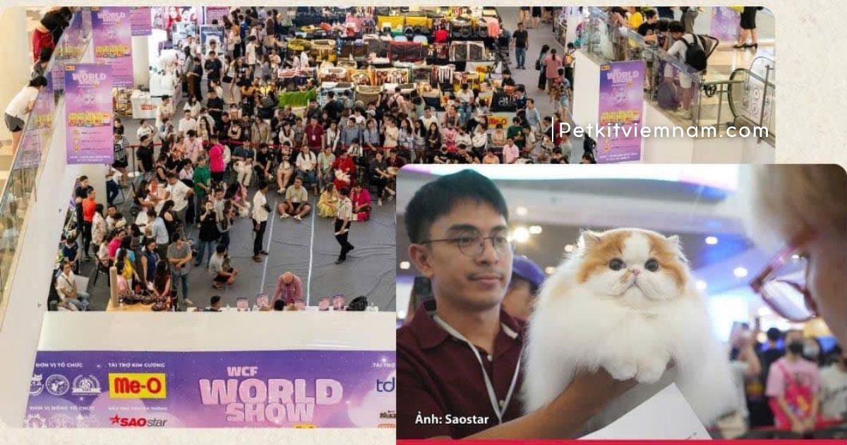 PETKIT x DrVET bùng nổ cùng MEGA CAT FEST 2025 - Lễ hội mèo hoành tráng nhất năm