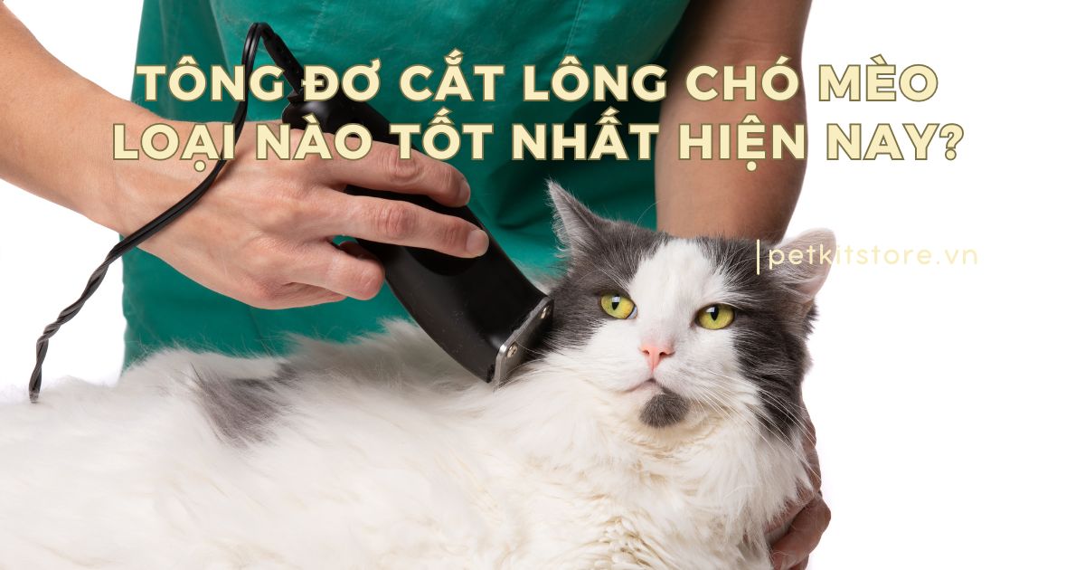 Tông đơ cắt lông chó mèo loại nào tốt nhất hiện nay?