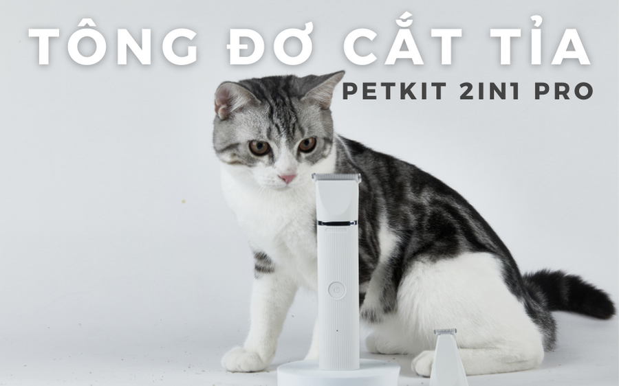 Tông đơ cắt tỉa lông chó mèo PETKIT 2IN1 PRO và những tip chăm sóc cho da và bộ lông thú cưng