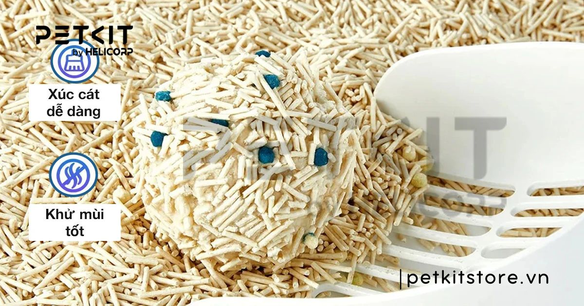 Cát phát hiện máu là gì