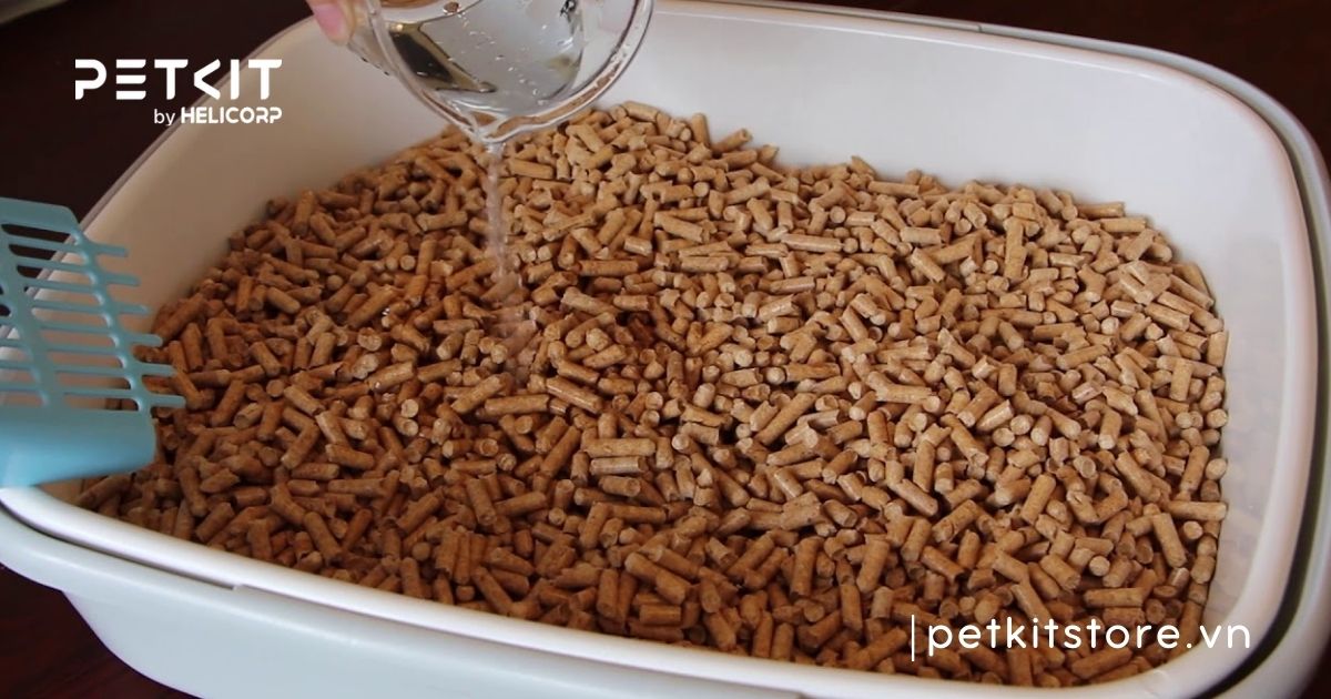 cát vệ sinh cho mèo là gì