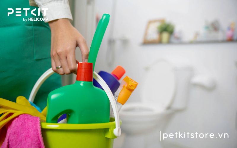 cách phòng tránh bệnh fip ở mèo
