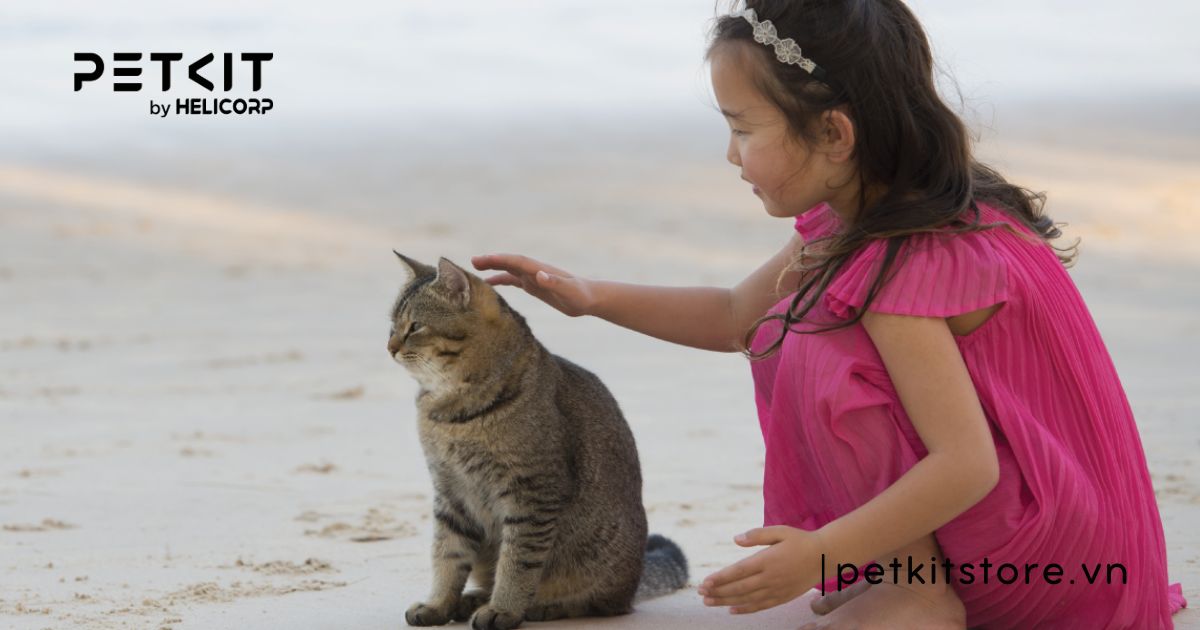 Lợi ích của việc nuôi mèo