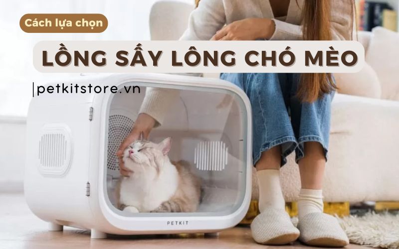 Lồng sấy lông chó mèo , máy sấy lông chó mèo