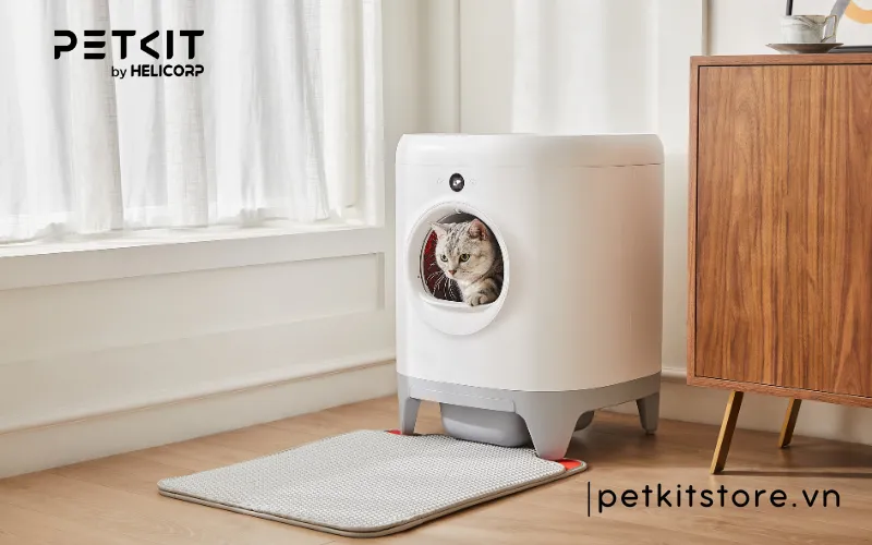 Máy dọn phân tự động PETKIT PURA X NEW 2024