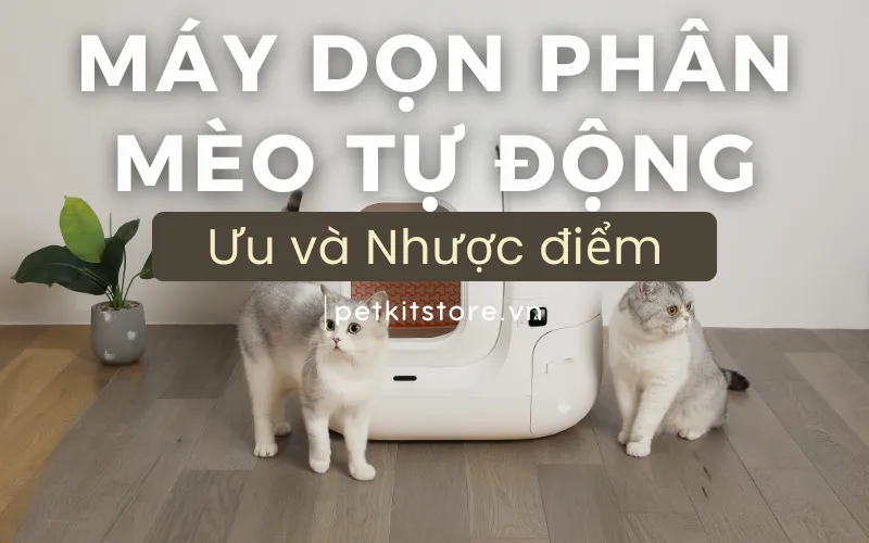 Ưu - Nhược điểm của máy dọn phân mèo tự động