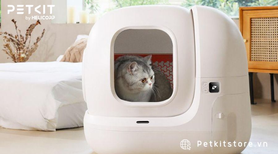  Sen và Boss đều nhận được nhiều lợi ích khi sử dụng Petkit Pura Max
