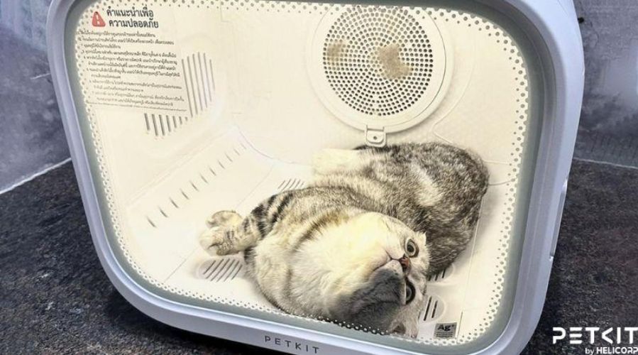 Đọc kỹ hướng dẫn sử dụng AirSalon Max để đảm bảo an toàn cho thú cưng