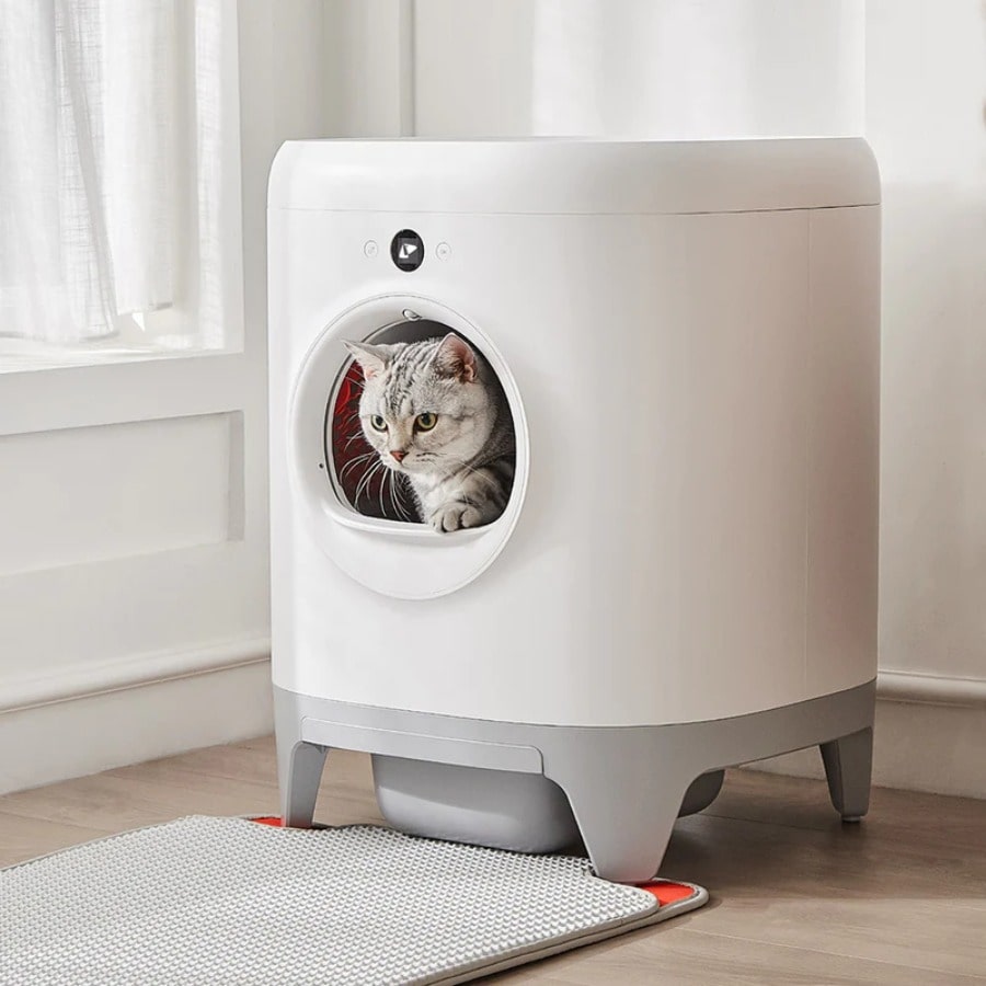 petkit việt nam