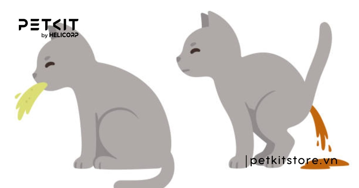 Mèo bị giun sán