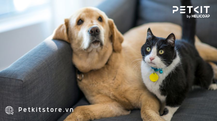 lợi ích khi nuôi thú cưng