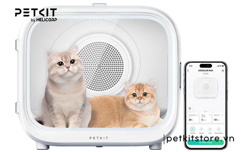 Sửa lồng sấy lông chó mèo