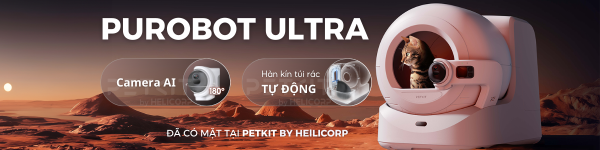 Banner top