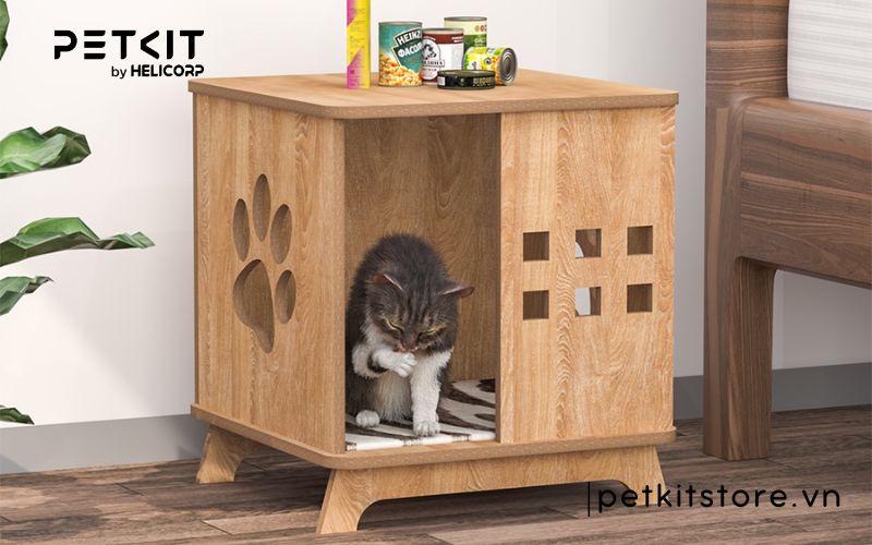 cách phòng tránh bệnh fip ở mèo