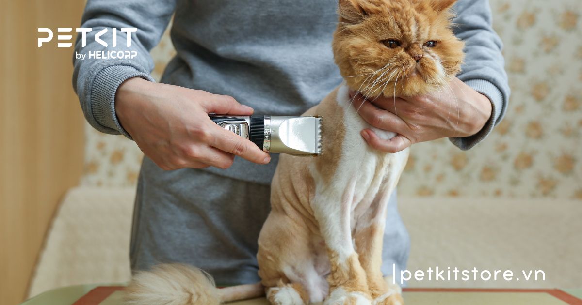 tông đơ cắt lông chó mèo loại nào tốt
