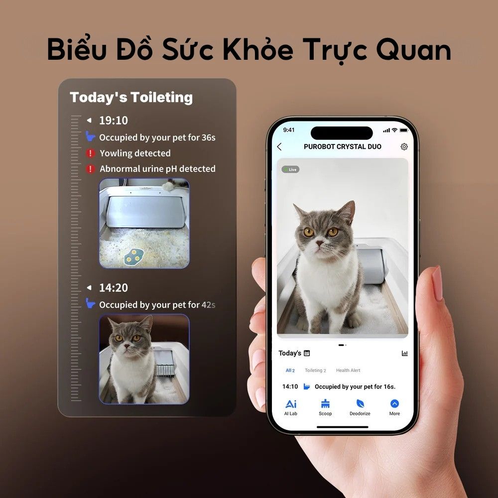 Máy Vệ Sinh Tự Động Cho Mèo PETKIT Purobot Crystal Duo có Camera AI
