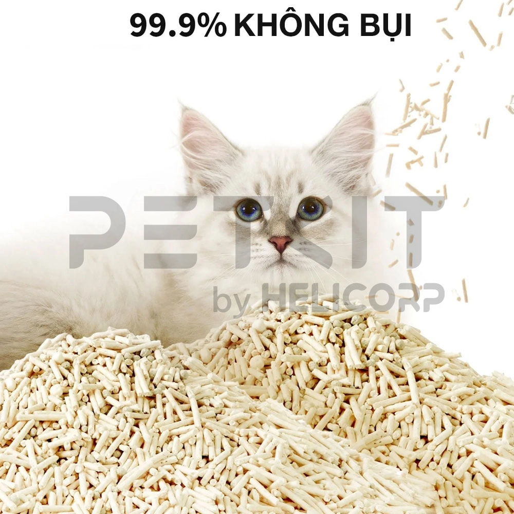 Cát phát hiện máu Petkit Occult Blood Test Mixed Cat Litter