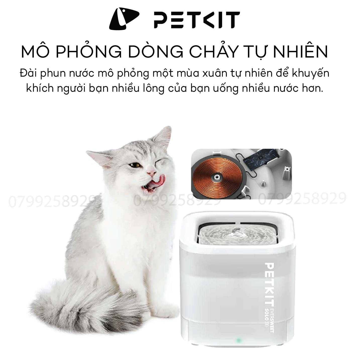 Máy lọc nước PETKIT Solo SE - Bơm không dây