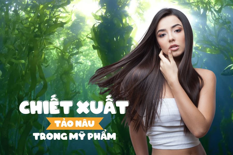 Chiết xuất tảo nâu trong mỹ phẩm - Bí quyết làm chậm lão hóa hiệu quả