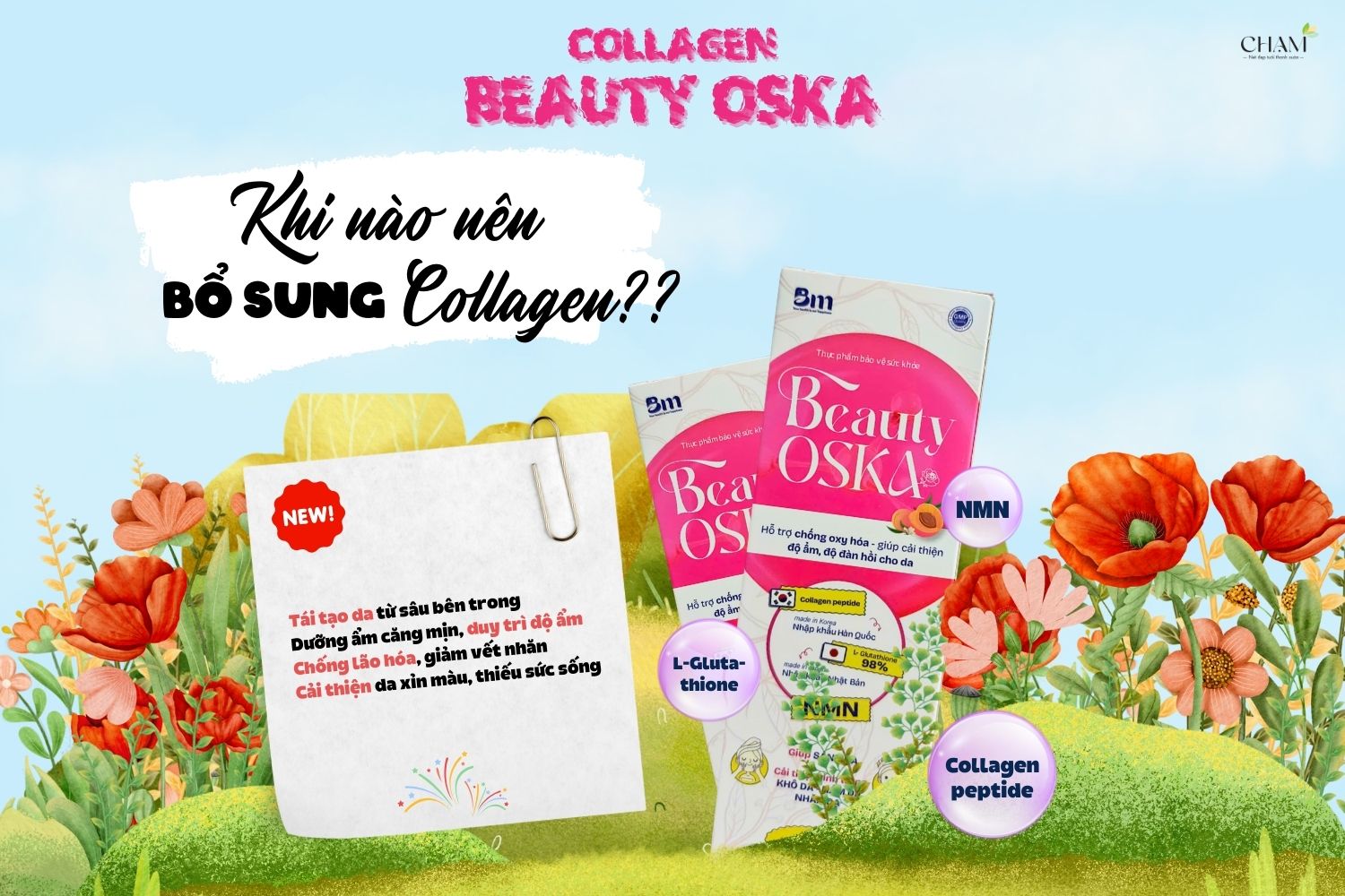 Dấu hiệu nhận biết khi nào nên bổ sung collagen và những lưu ý