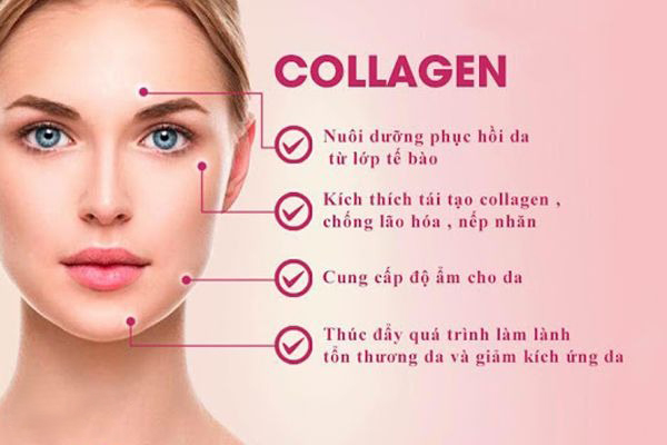 Collagen là gì và nó có tác dụng gì?