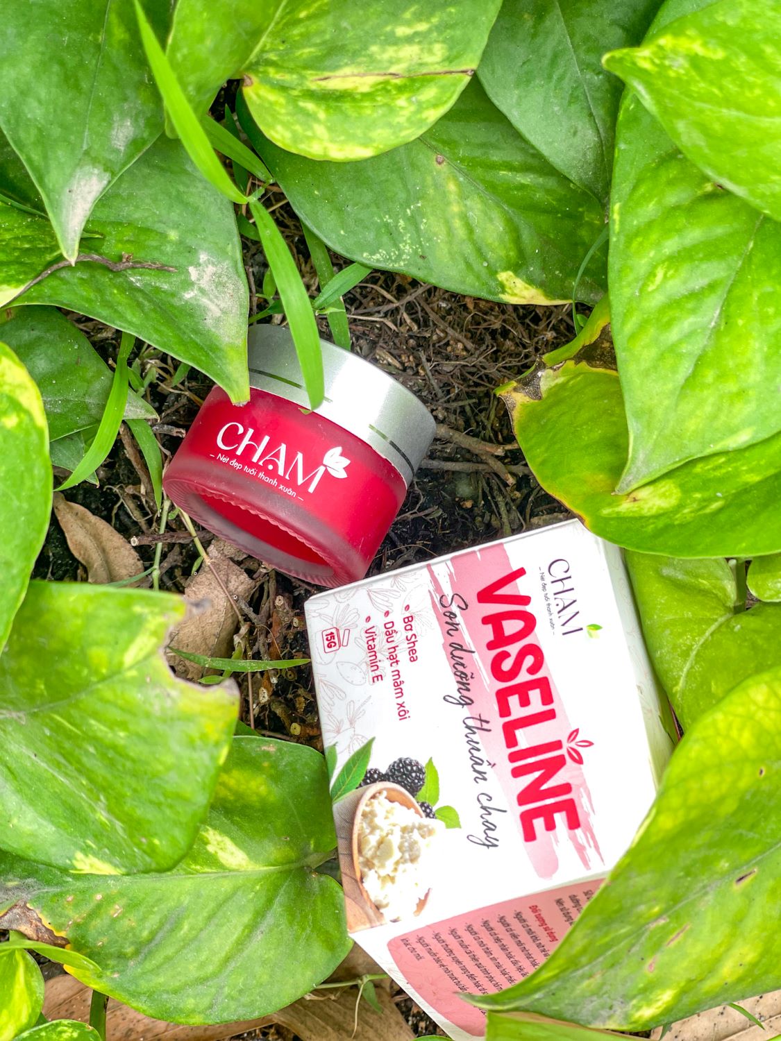 Son Dưỡng Hồng Môi Vaseline