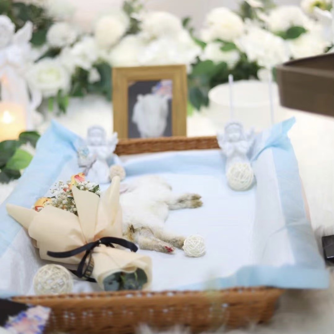 HỎA TÁNG THÚ CƯNG - NHỮNG THÔNG TIN BẠN CẦN BIẾT