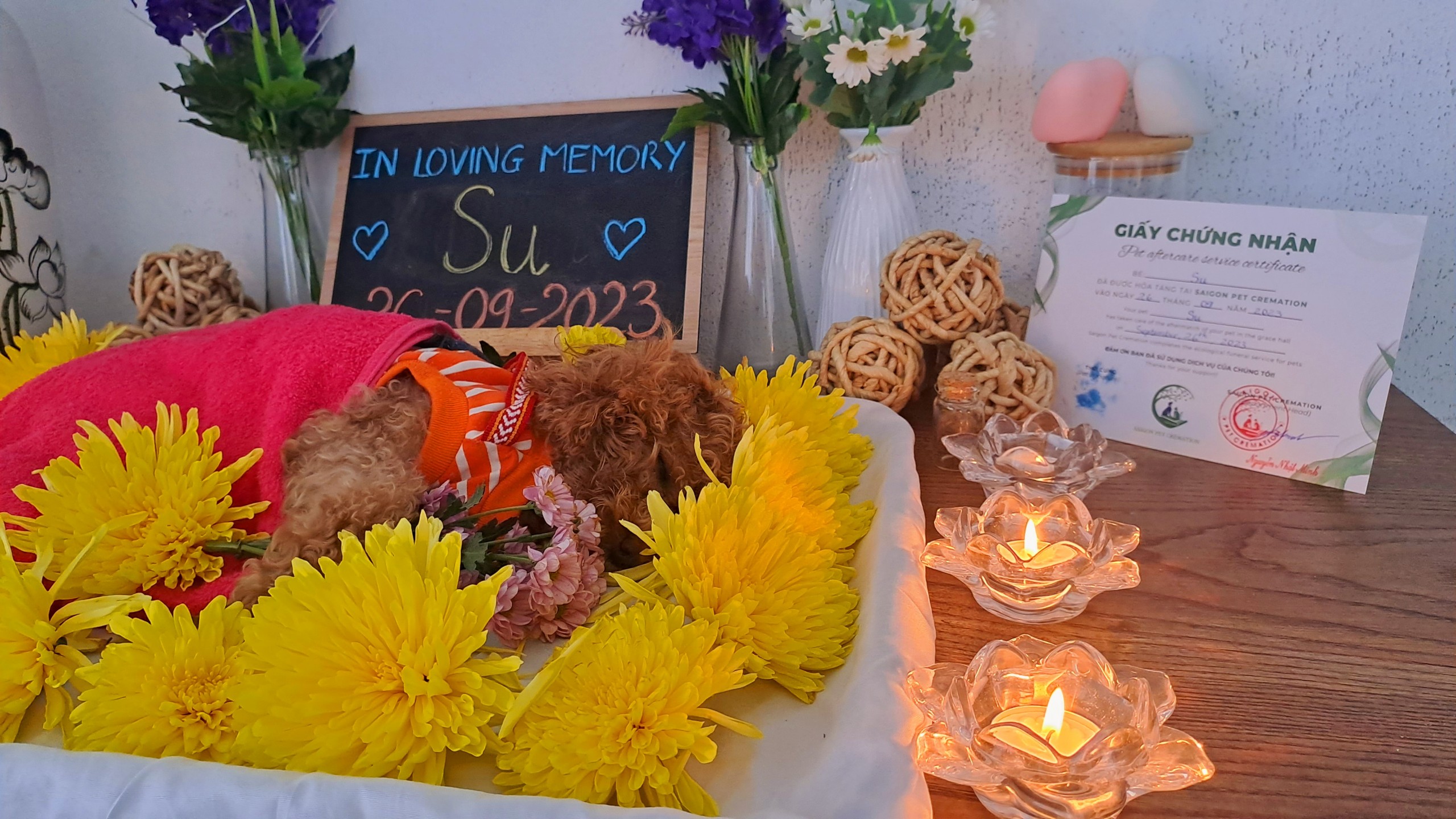 In Loving Memory Of Su