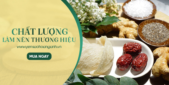 YẾN SÀO HOÀNG ANH