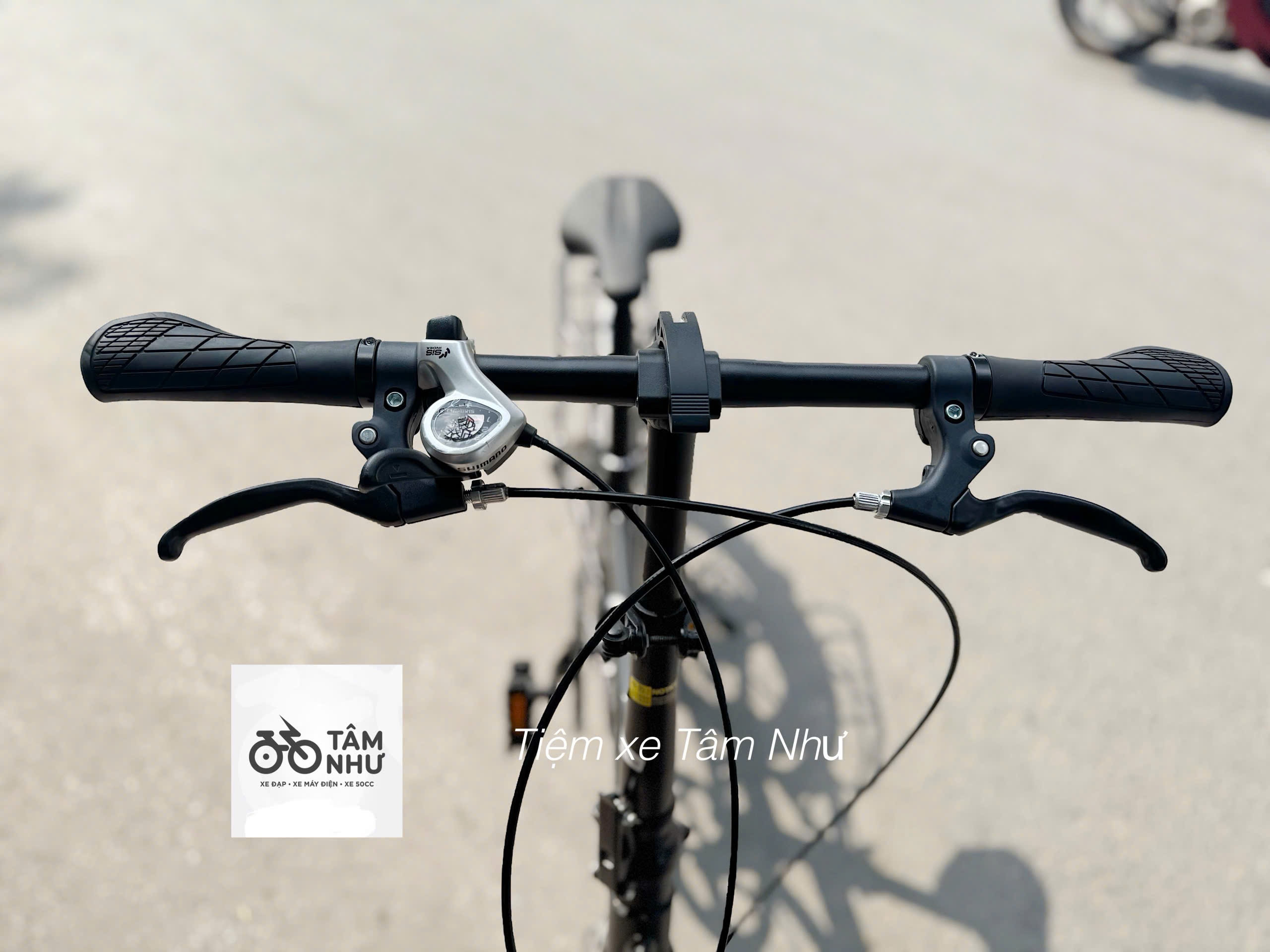 Xe Đạp Gấp Milesco G100 - 20 inch