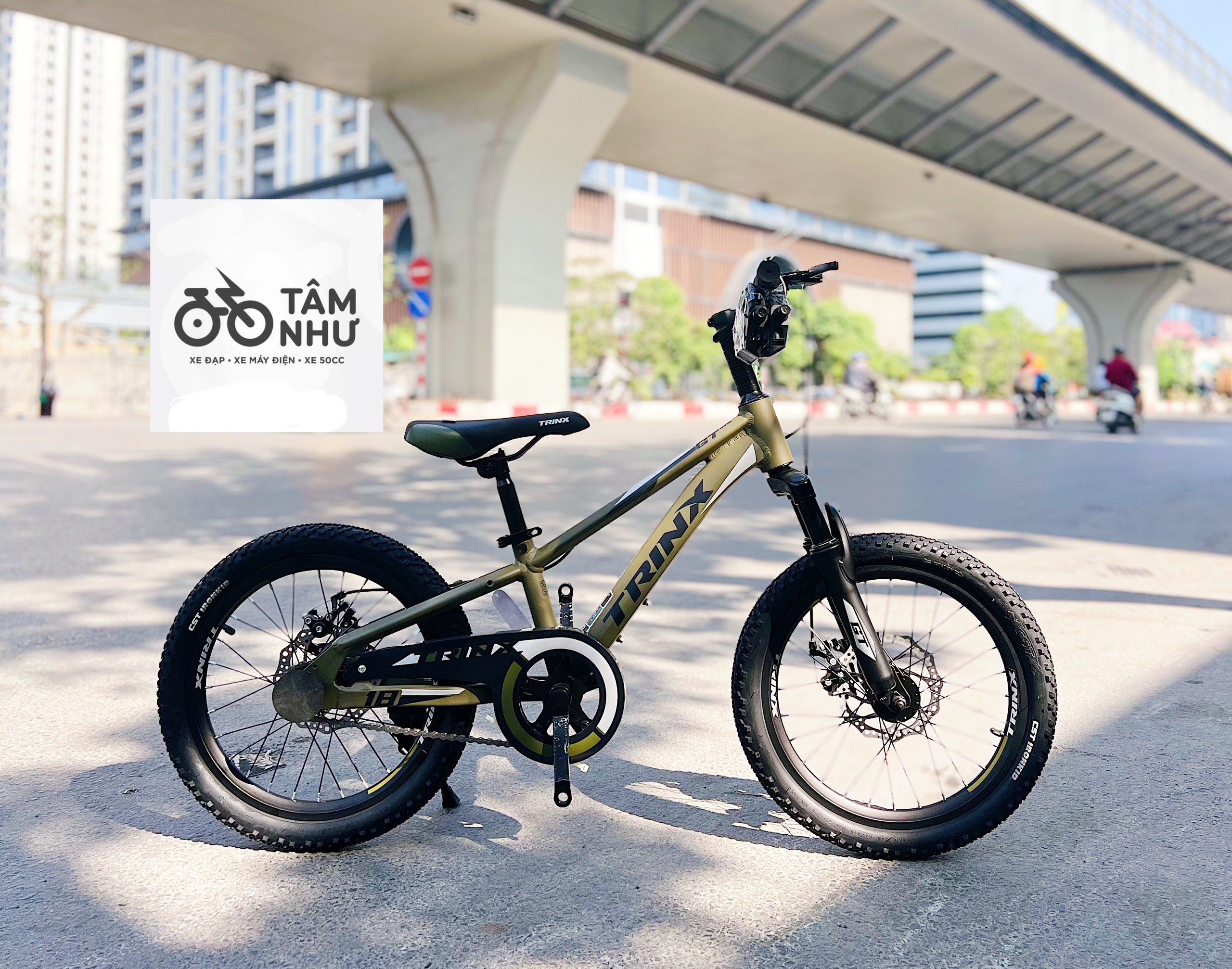 Xe đạp Trẻ Em Trinx GT 18 INCH - Xi Măng