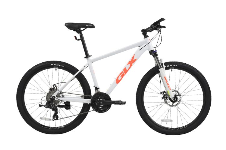 Xe Đạp Thể Thao Địa Hình GLX CT20