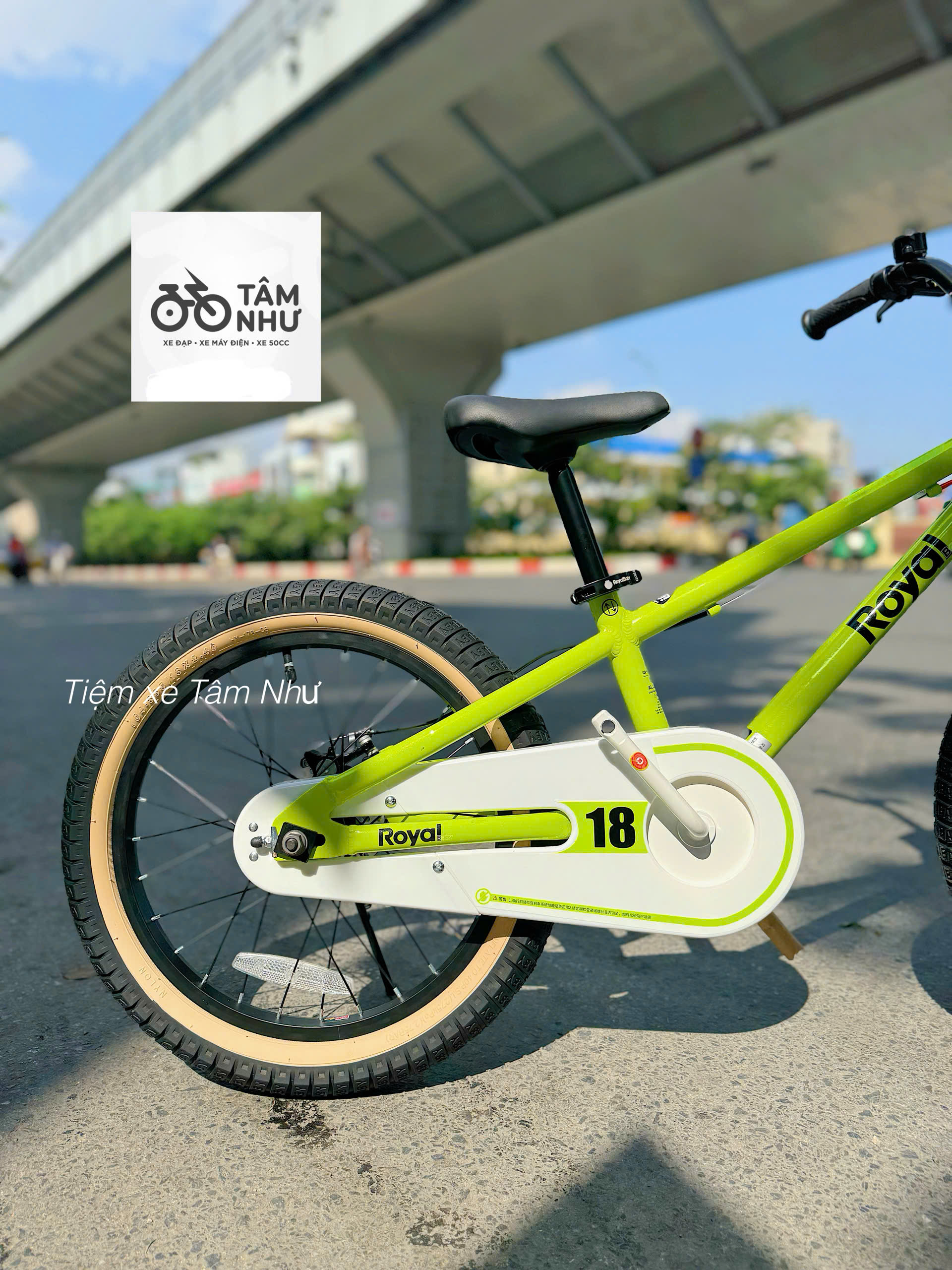 Xe đạp trẻ em Royalbaby Climber 18 inch - Xanh
